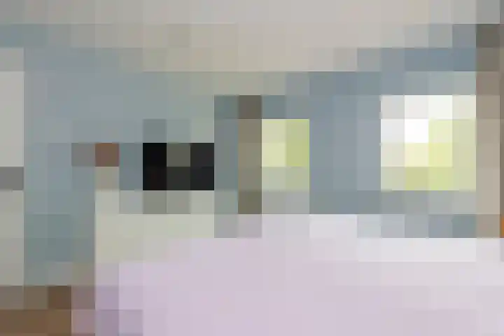 Oerlesestraat 198 Tilburg thumbnail 18