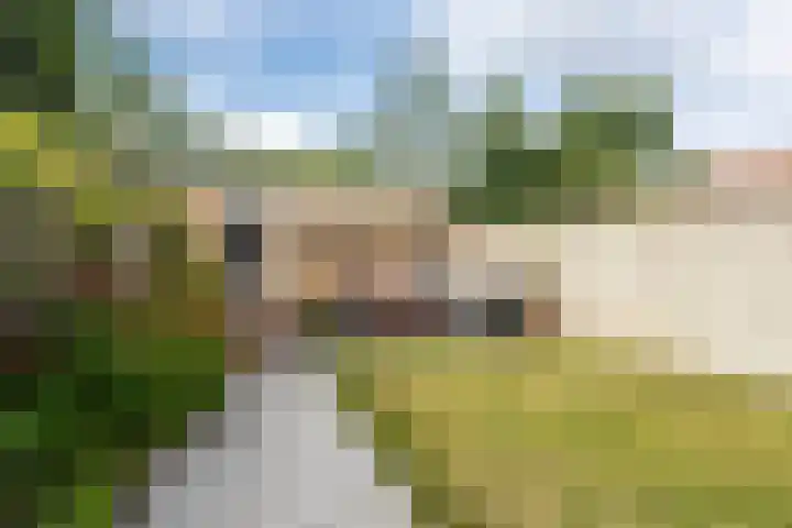 Oerlesestraat 198 Tilburg thumbnail 31