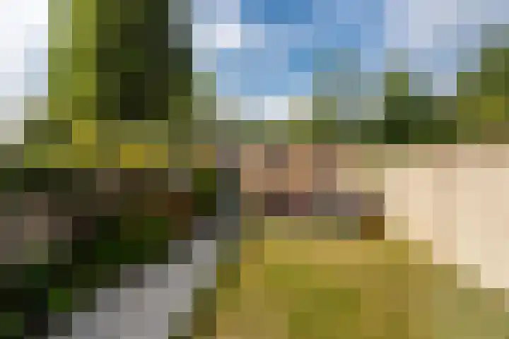 Oerlesestraat 198 Tilburg thumbnail 34