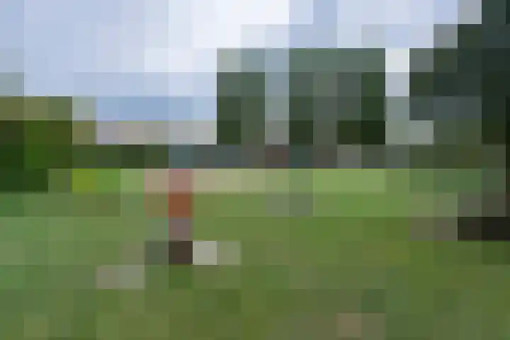 Oerlesestraat 198 Tilburg thumbnail 37