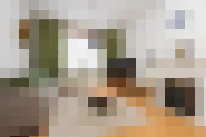 Oerlesestraat 204 Tilburg thumbnail 11