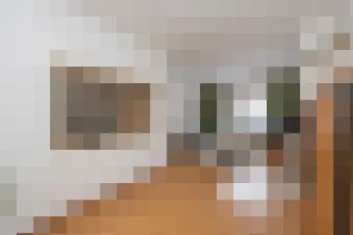 Oerlesestraat 204 Tilburg thumbnail 12