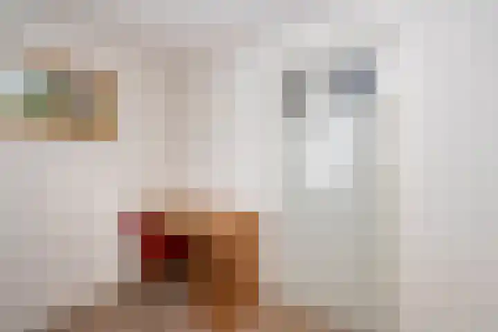 Oerlesestraat 204 Tilburg thumbnail 16