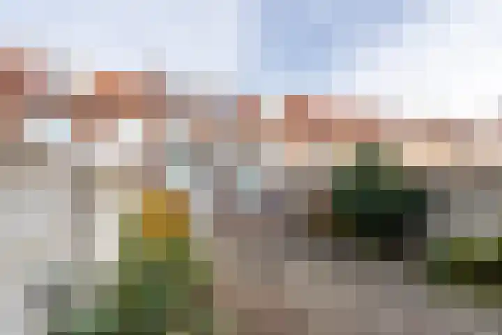 Oerlesestraat 204 Tilburg thumbnail 23