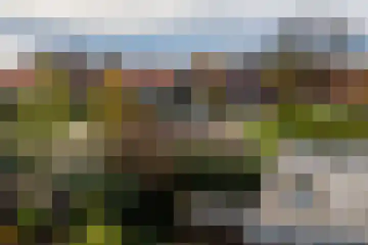 Oerlesestraat 204 Tilburg thumbnail 24