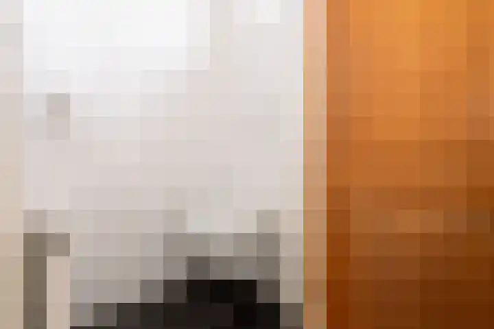Oerlesestraat 204 Tilburg thumbnail 5
