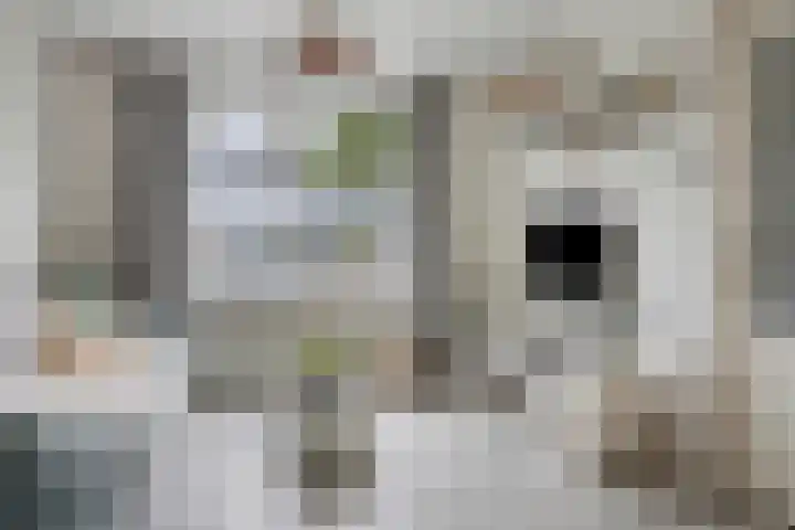 Oerlesestraat 206 Tilburg thumbnail 4