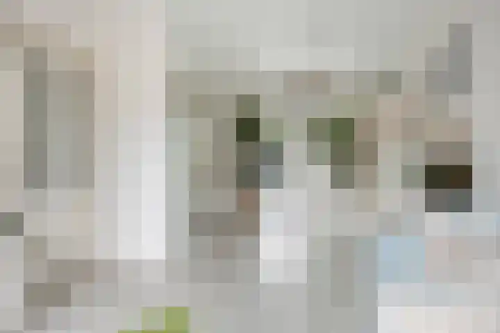 Oerlesestraat 206 Tilburg thumbnail 5