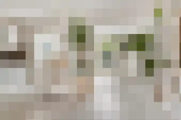 Oerlesestraat 206 Tilburg thumbnail 6