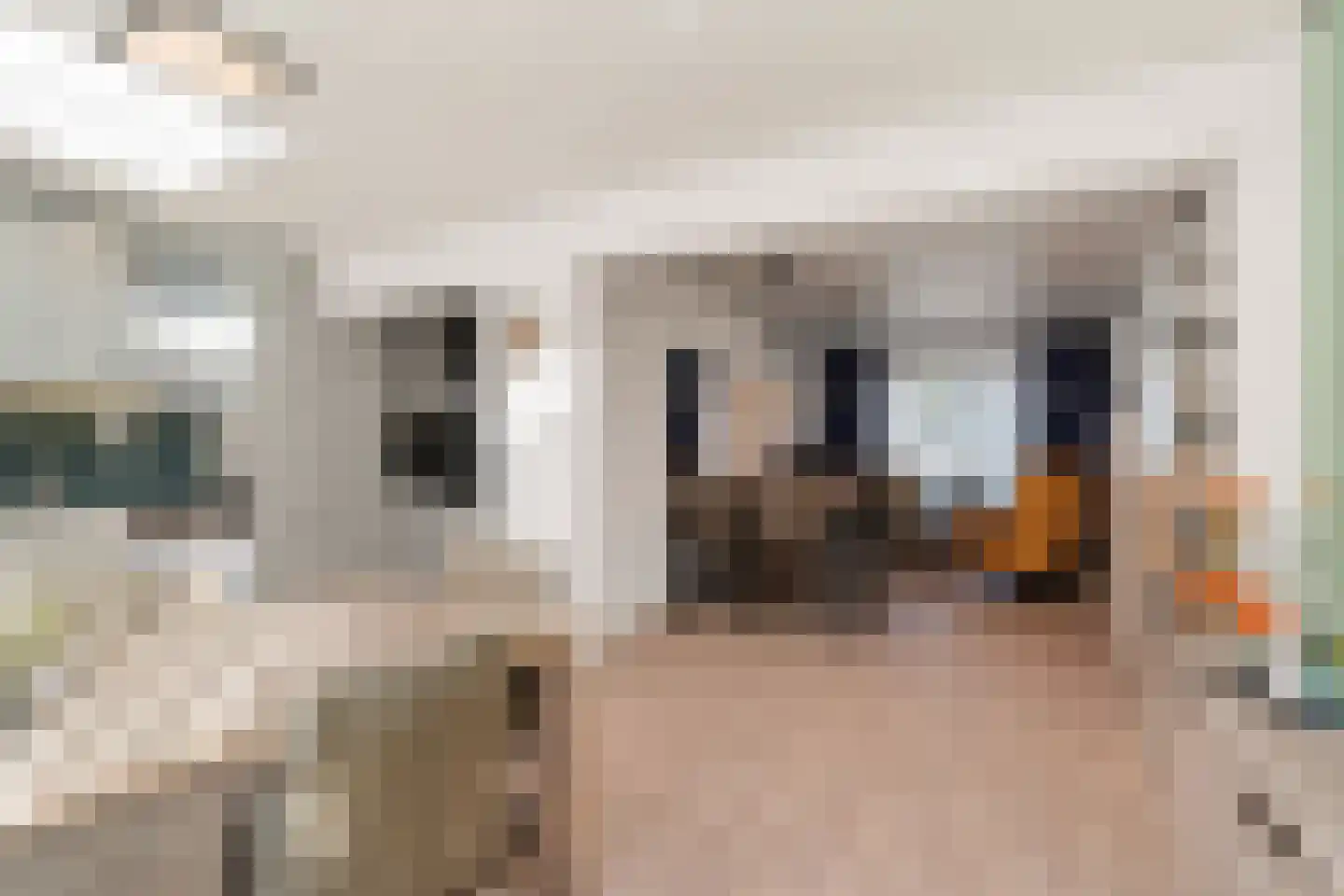 Oerlesestraat 212 Tilburg thumbnail 10