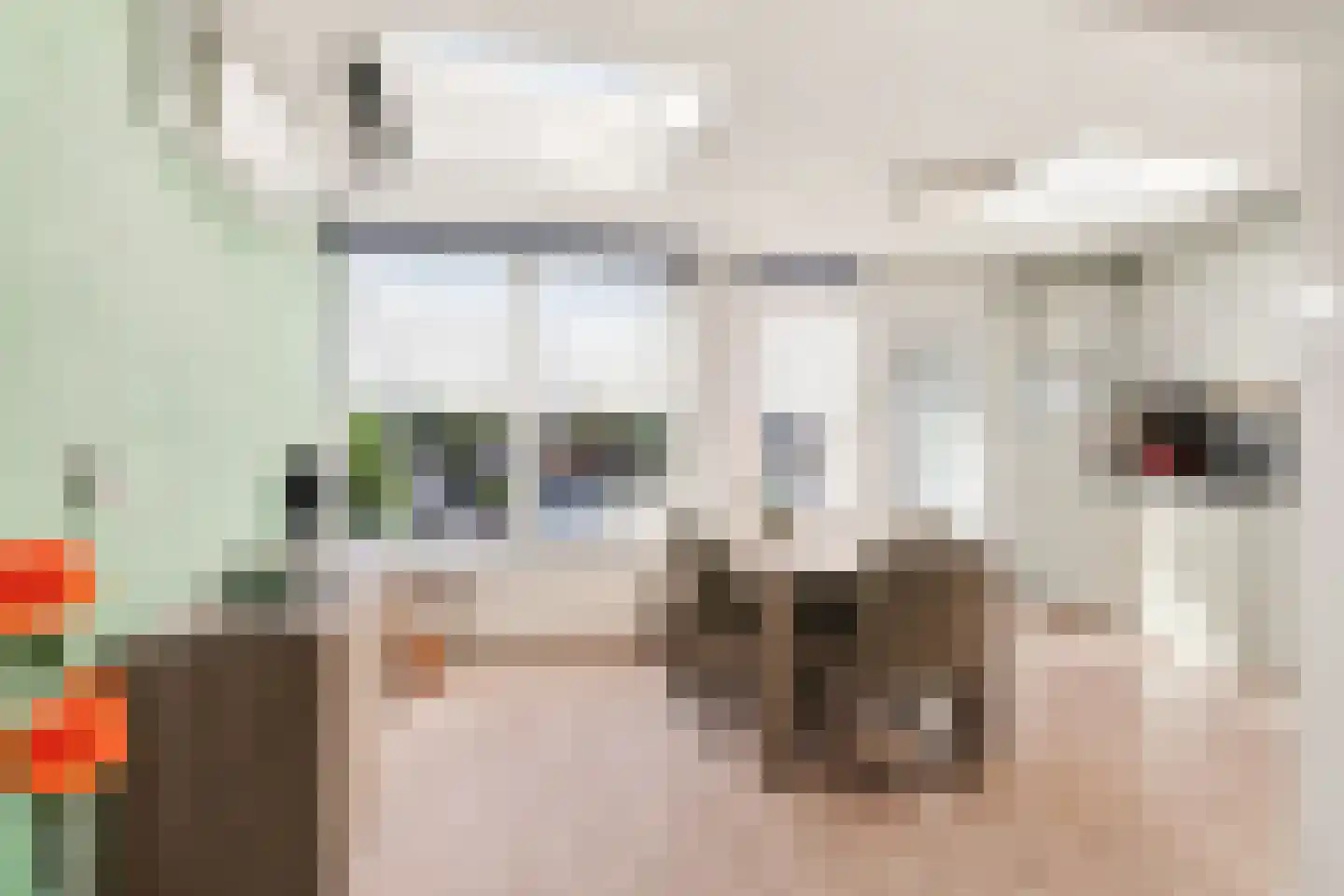 Oerlesestraat 212 Tilburg thumbnail 11