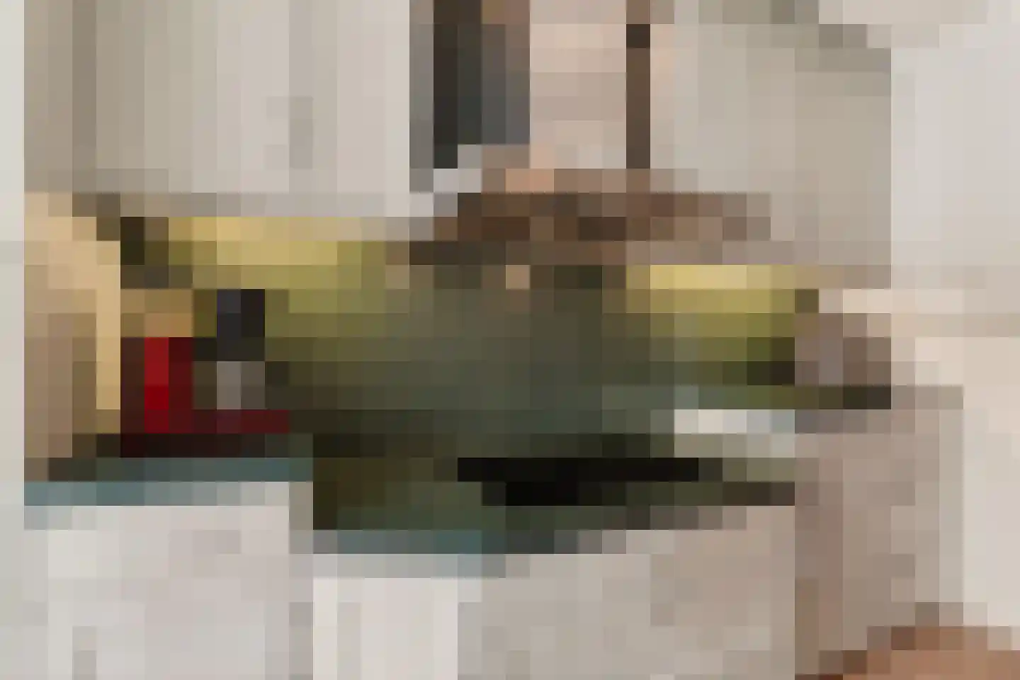 Oerlesestraat 212 Tilburg thumbnail 16