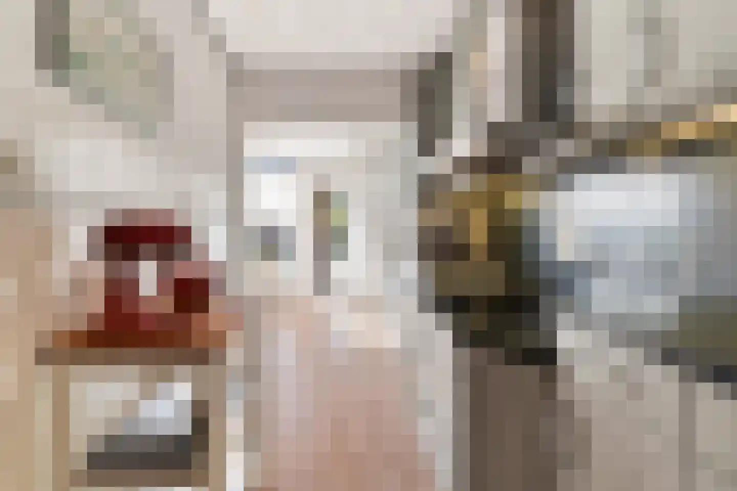 Oerlesestraat 212 Tilburg thumbnail 17