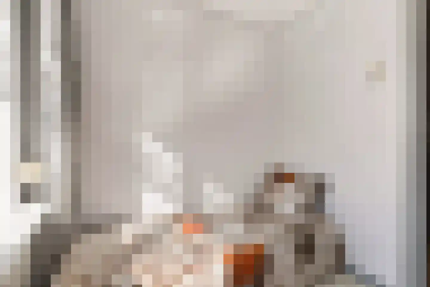 Oerlesestraat 212 Tilburg thumbnail 33