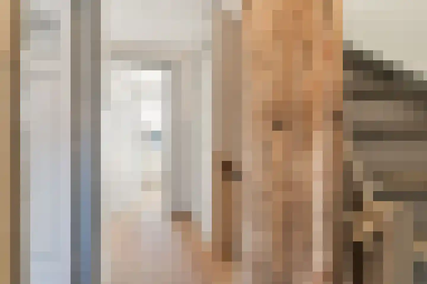 Oerlesestraat 212 Tilburg thumbnail 36