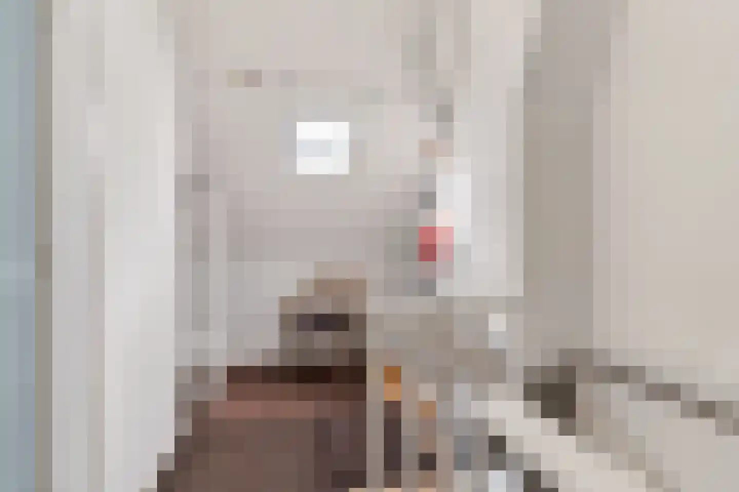Oerlesestraat 212 Tilburg thumbnail 37