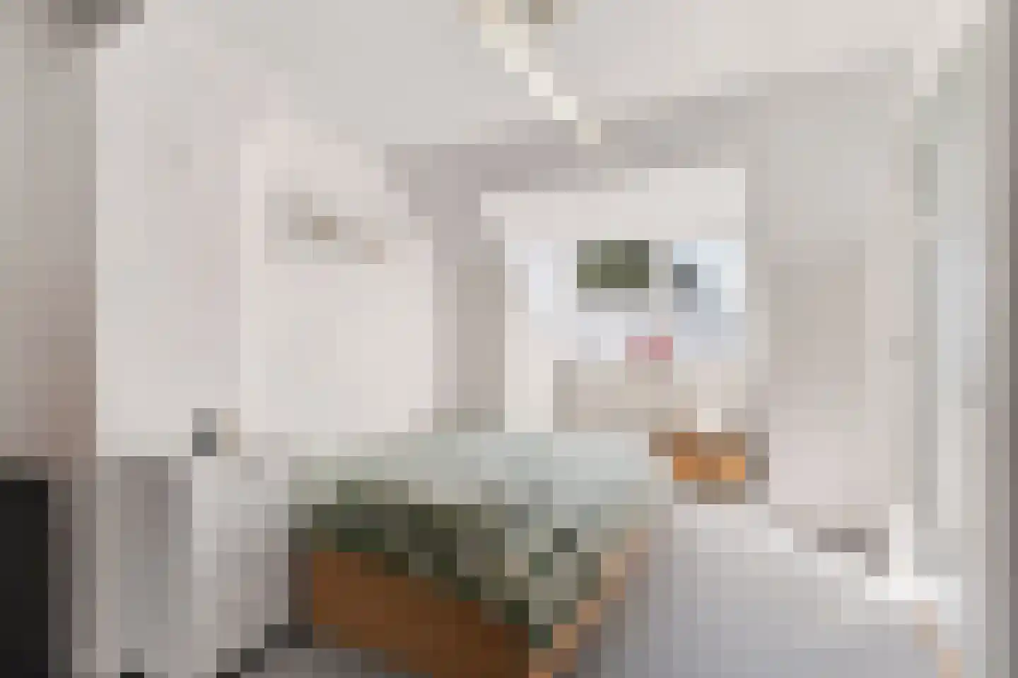 Oerlesestraat 212 Tilburg thumbnail 38