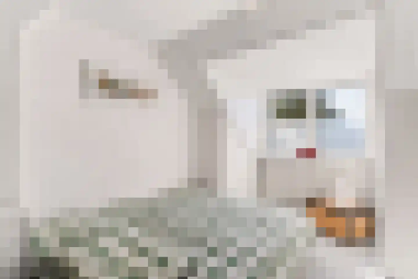 Oerlesestraat 212 Tilburg thumbnail 39