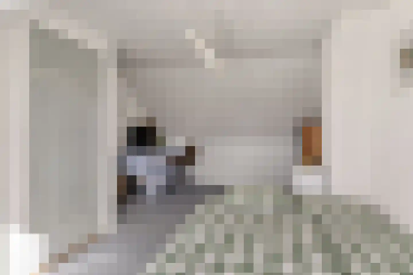 Oerlesestraat 212 Tilburg thumbnail 40