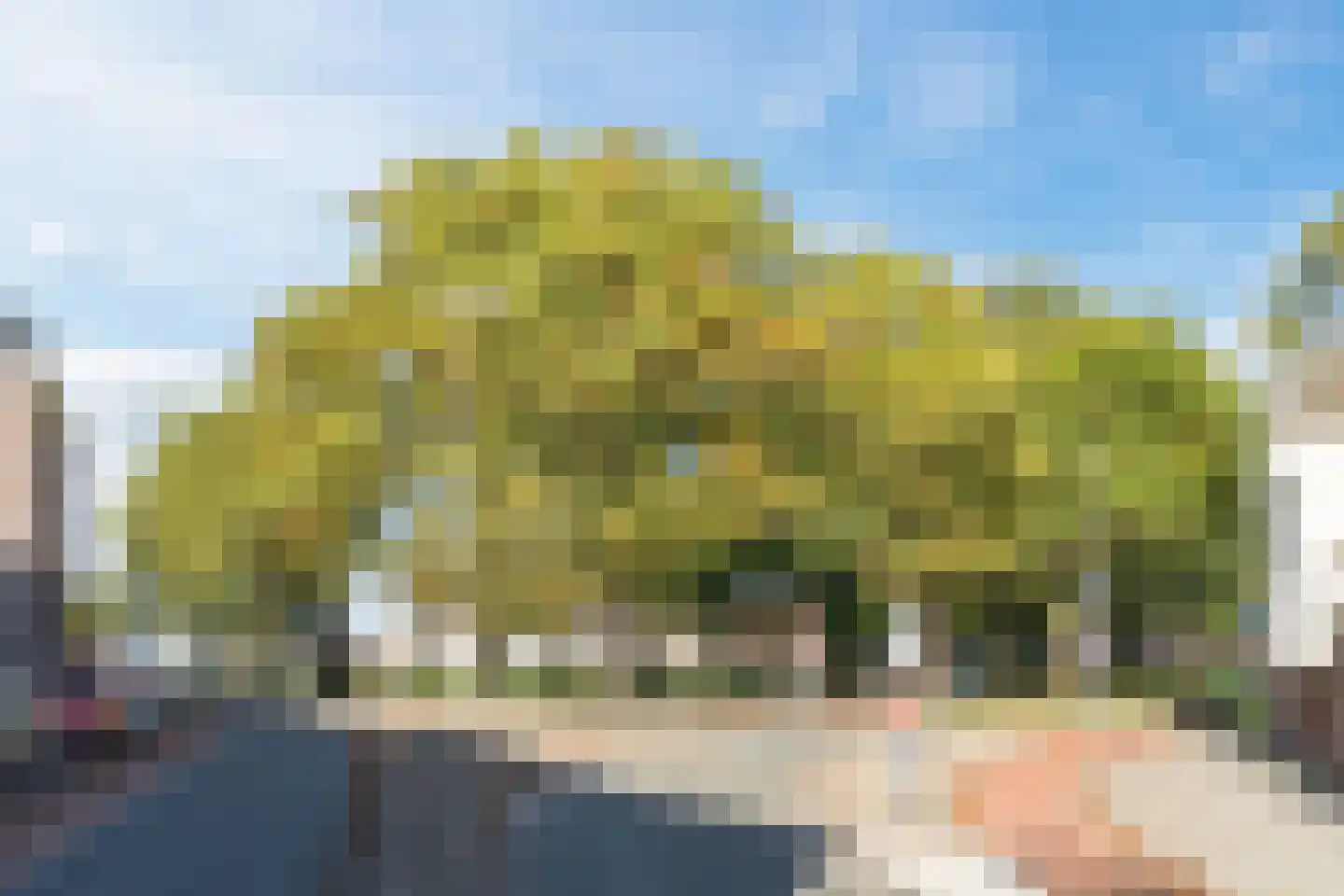 Oerlesestraat 212 Tilburg thumbnail 45