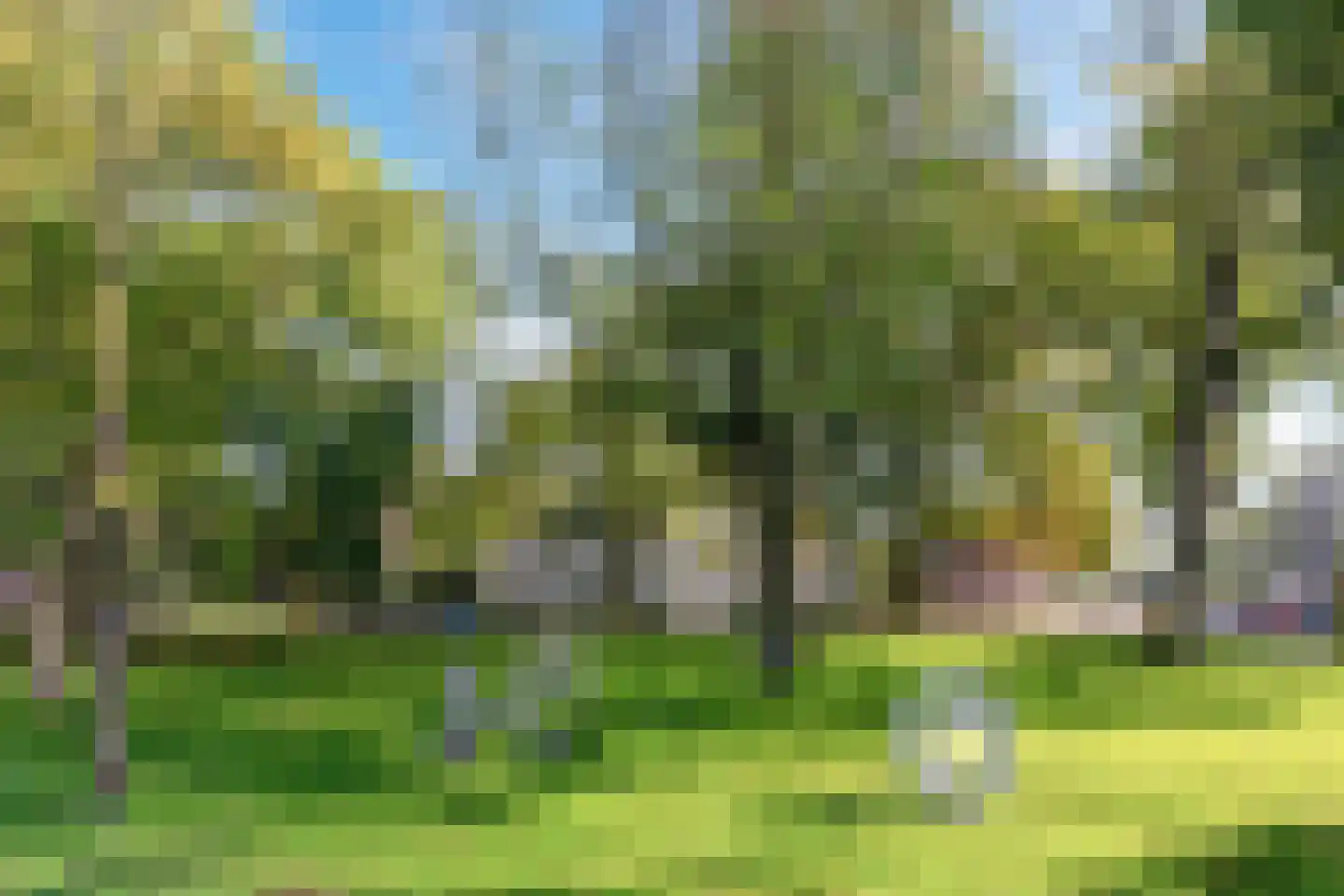 Oerlesestraat 212 Tilburg thumbnail 47