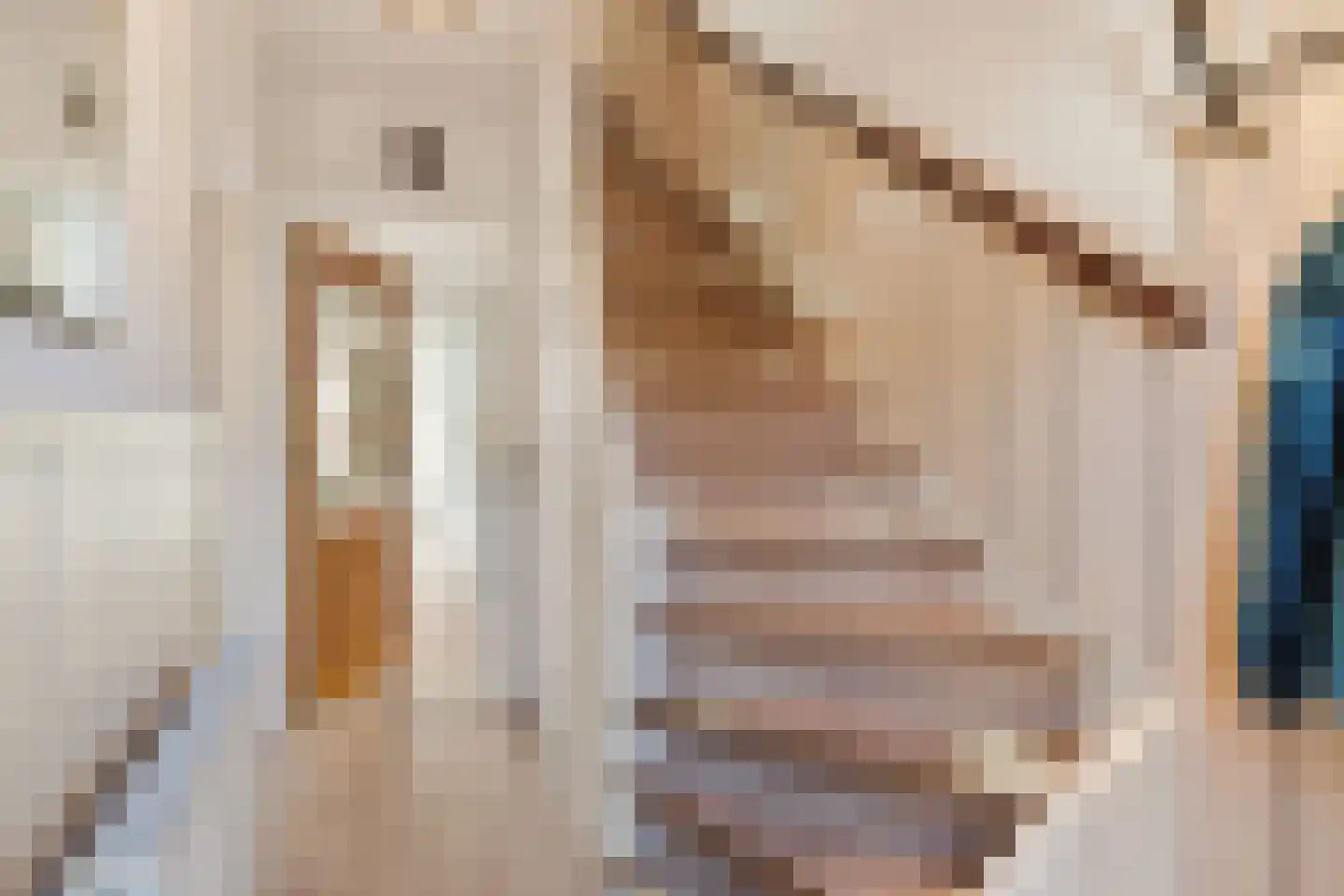 Oerlesestraat 212 Tilburg thumbnail 5