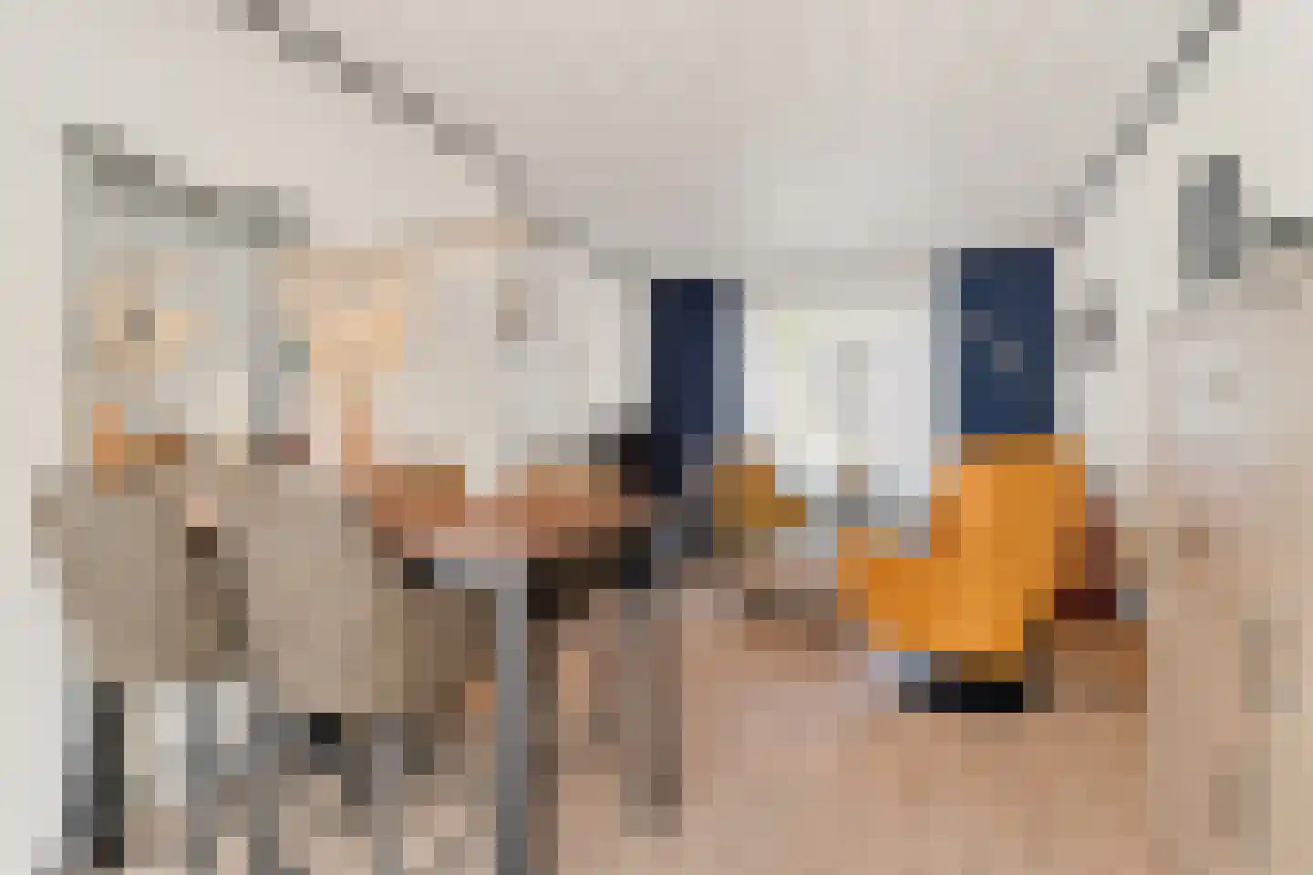 Oerlesestraat 212 Tilburg thumbnail 8
