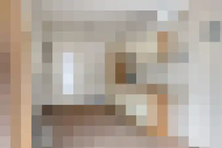 Oerlesestraat 214 Tilburg thumbnail 13