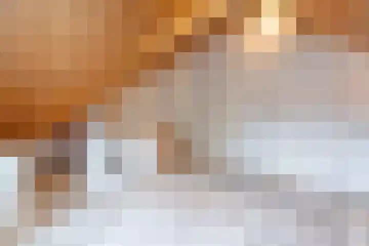 Oerlesestraat 25 Tilburg thumbnail 36