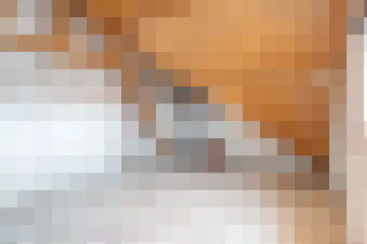 Oerlesestraat 25 Tilburg thumbnail 37