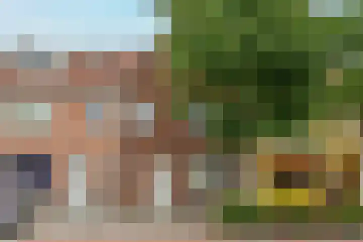 Oerlesestraat 25 Tilburg thumbnail 44
