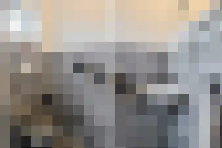 Oerlesestraat 25 Tilburg thumbnail 8
