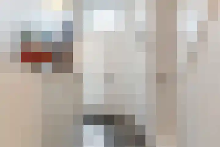 Oerlesestraat 25 Tilburg thumbnail 9