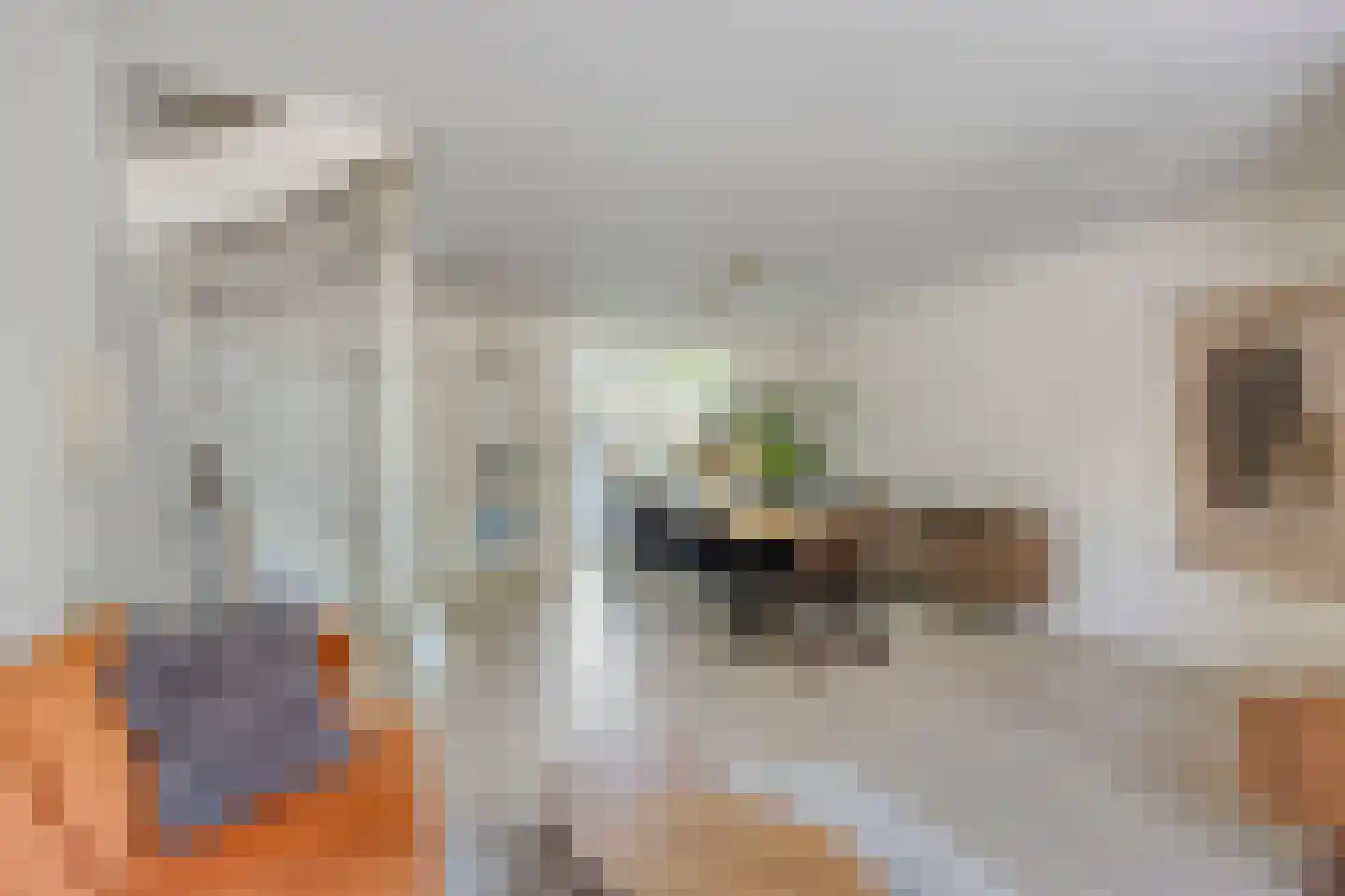Oerlesestraat 251 Tilburg thumbnail 12