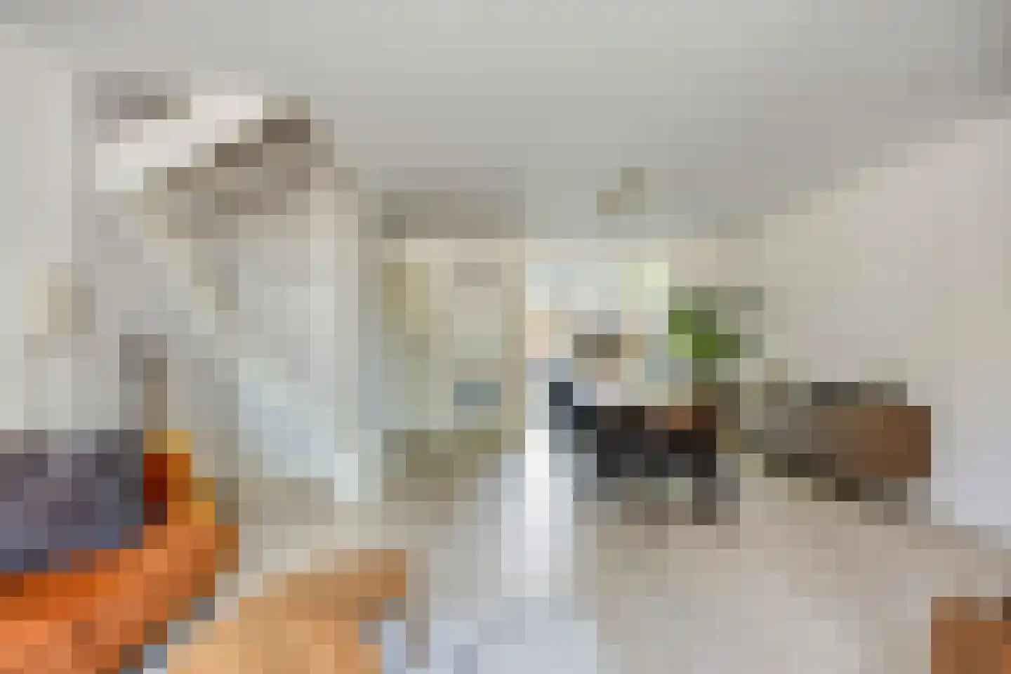 Oerlesestraat 251 Tilburg thumbnail 13