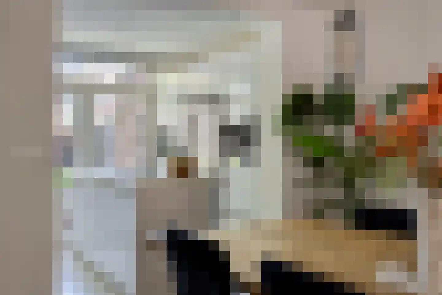 Oerlesestraat 251 Tilburg thumbnail 18