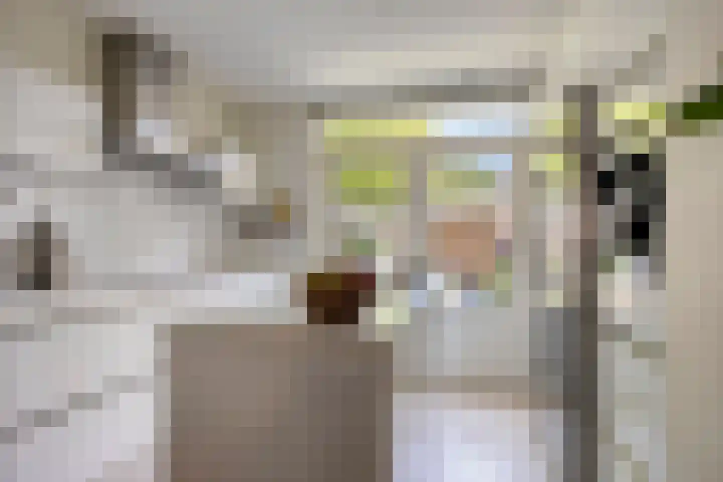 Oerlesestraat 251 Tilburg thumbnail 19