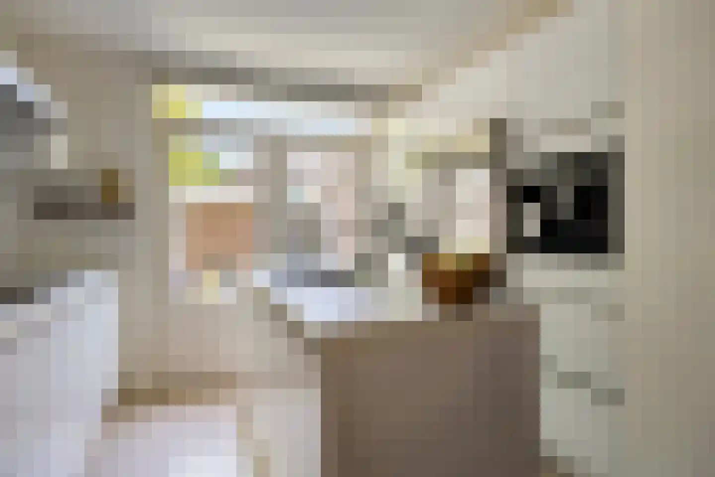 Oerlesestraat 251 Tilburg thumbnail 20