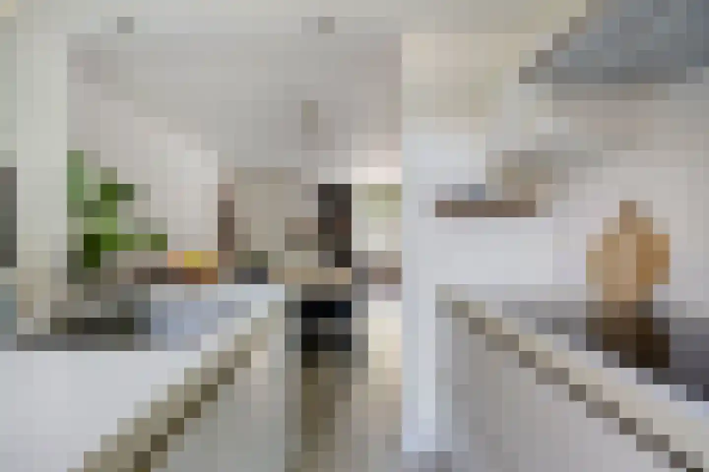 Oerlesestraat 251 Tilburg thumbnail 21