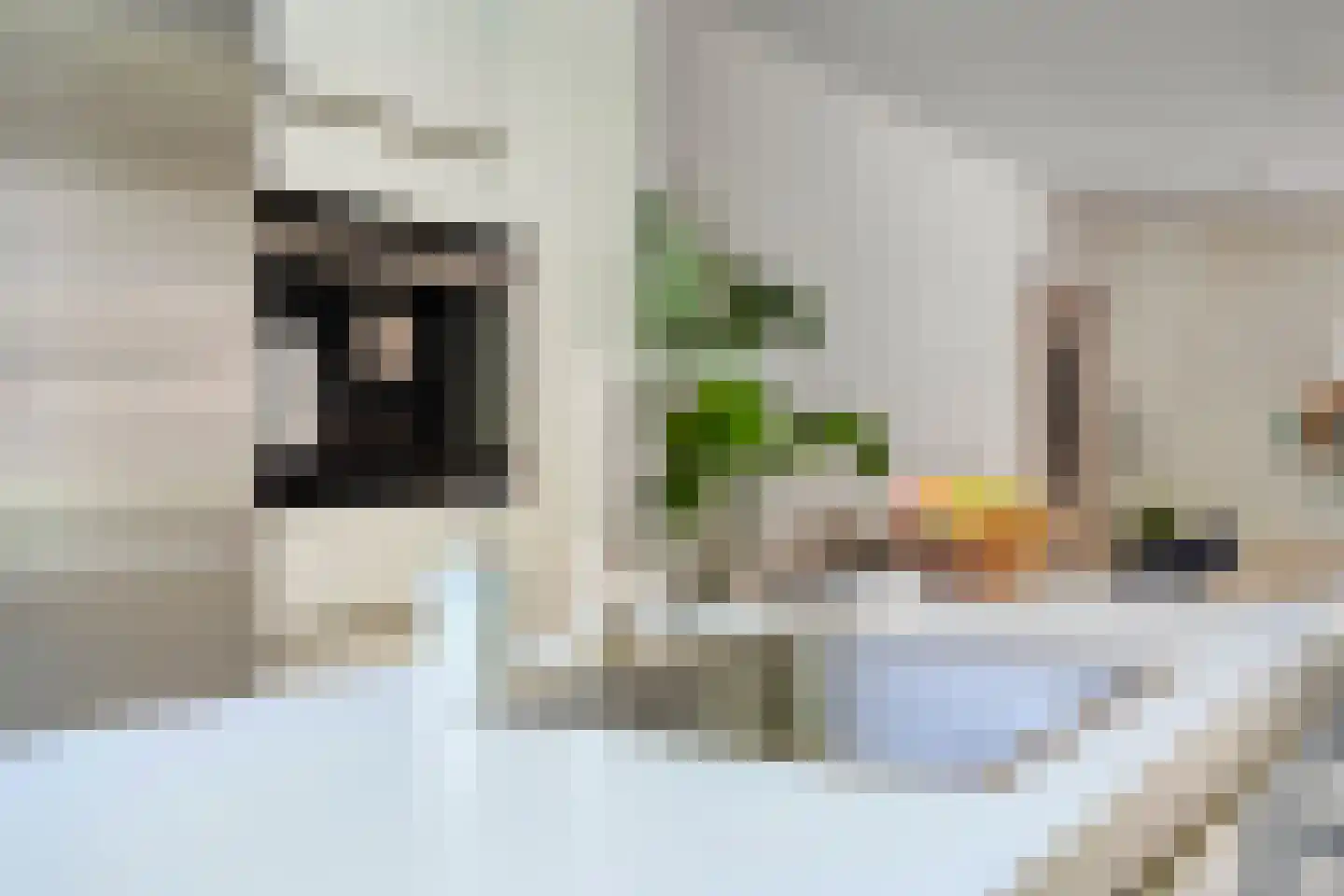 Oerlesestraat 251 Tilburg thumbnail 24