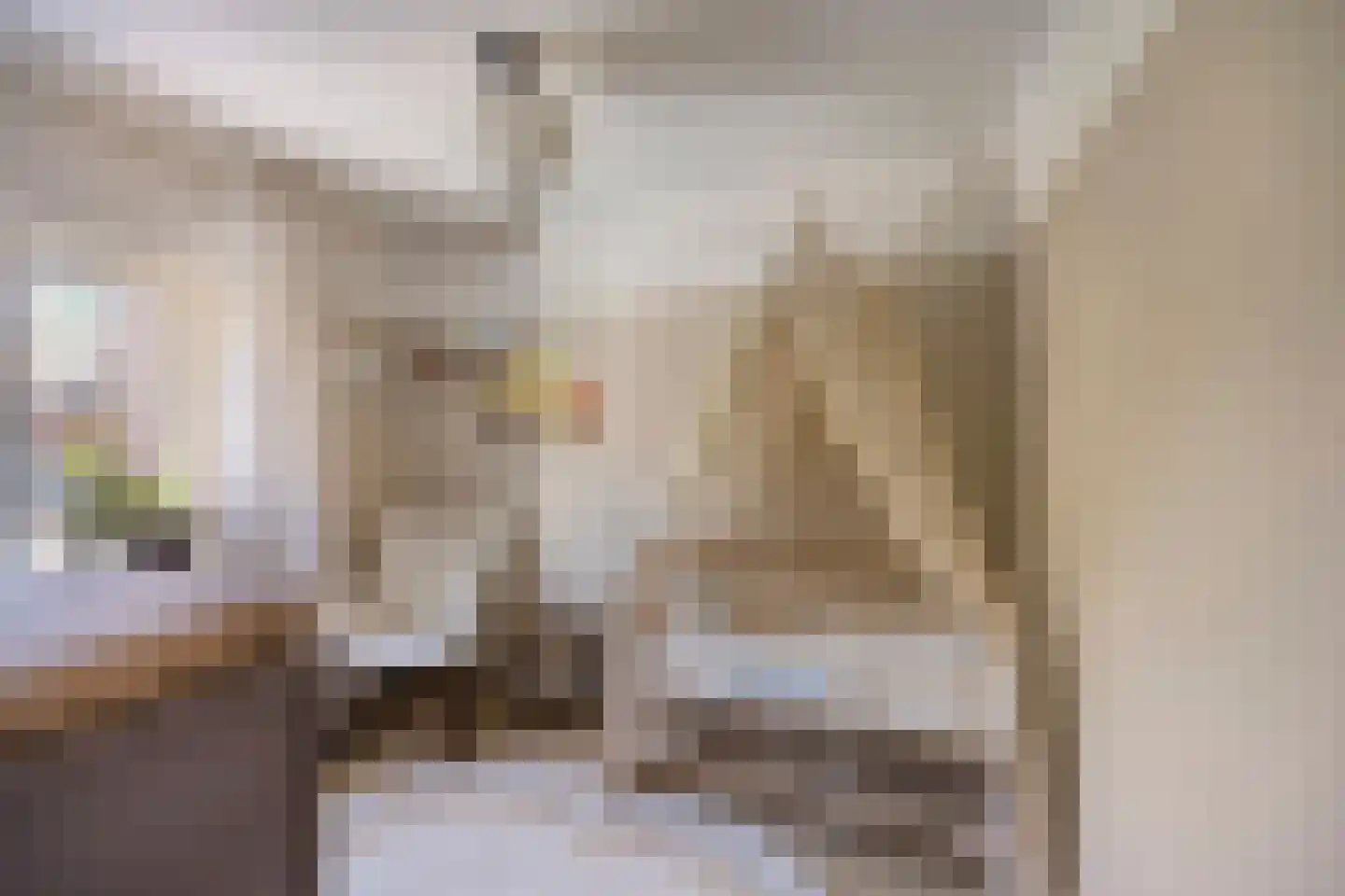 Oerlesestraat 251 Tilburg thumbnail 39