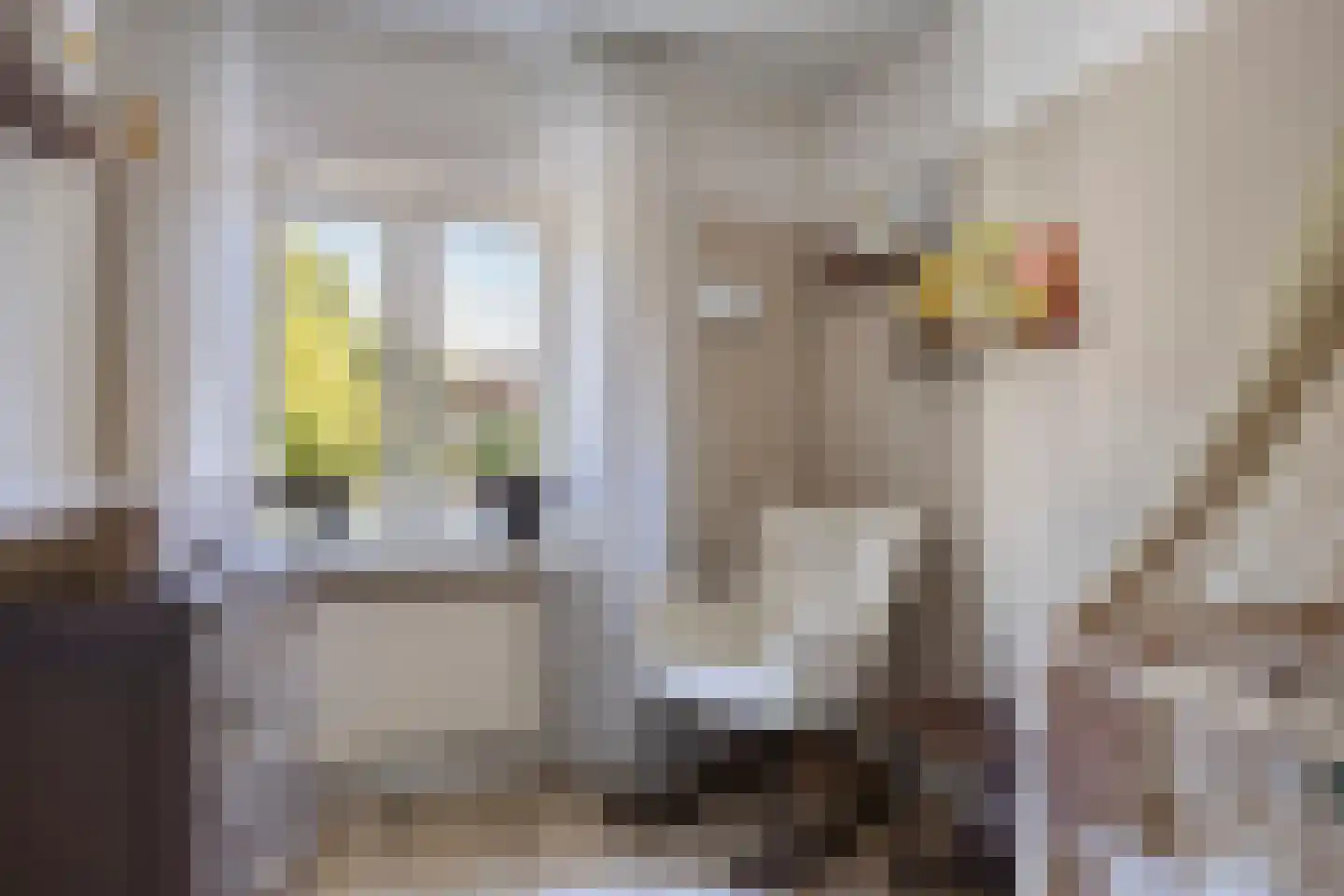 Oerlesestraat 251 Tilburg thumbnail 40