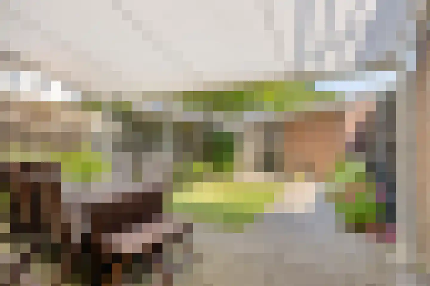 Oerlesestraat 251 Tilburg thumbnail 54