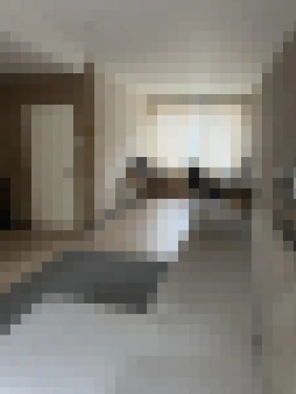 Oerlesestraat 52 Tilburg thumbnail 4
