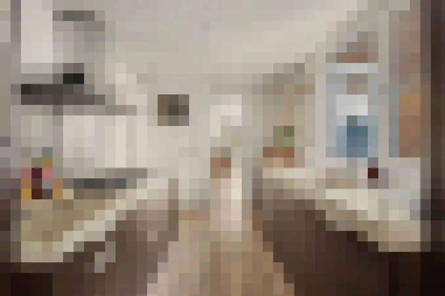 Oerlesestraat 93 Tilburg thumbnail 12