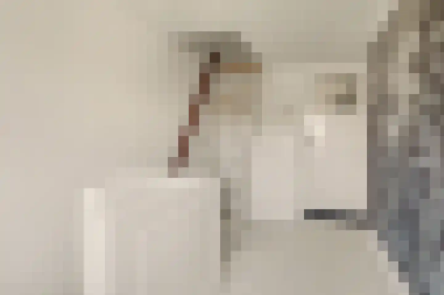 Oerlesestraat 93 Tilburg thumbnail 14
