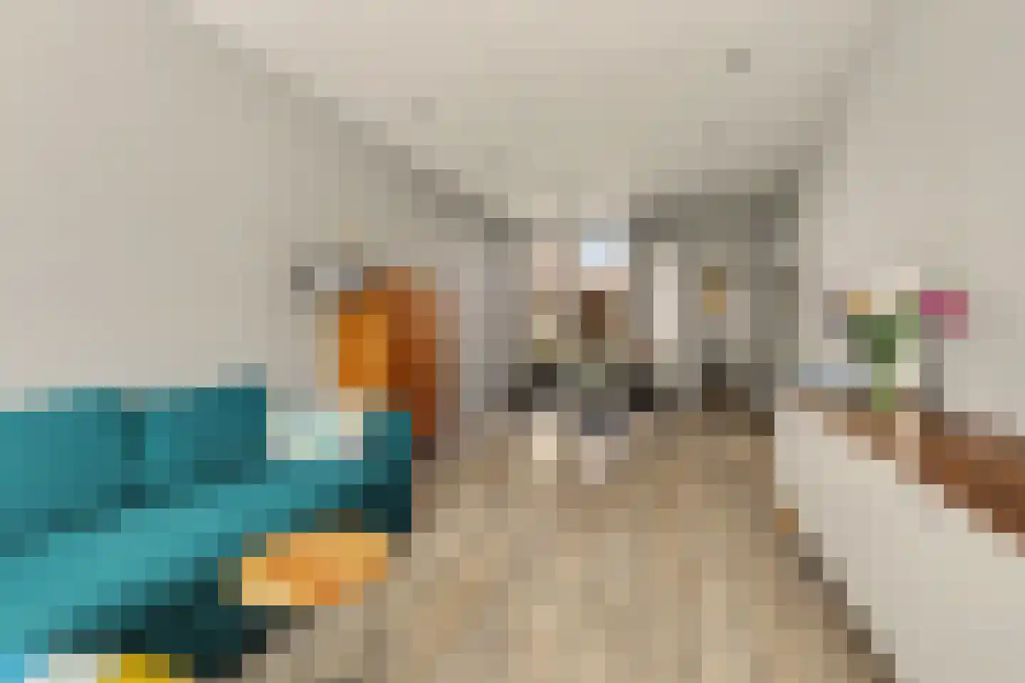 Oerlesestraat 93 Tilburg thumbnail 6
