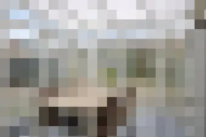 Oerraede 42 Vlodrop thumbnail 15