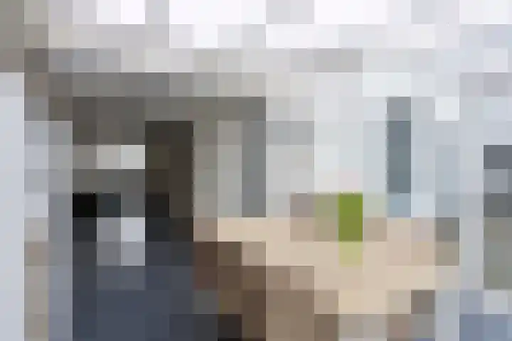 Oerraede 42 Vlodrop thumbnail 16