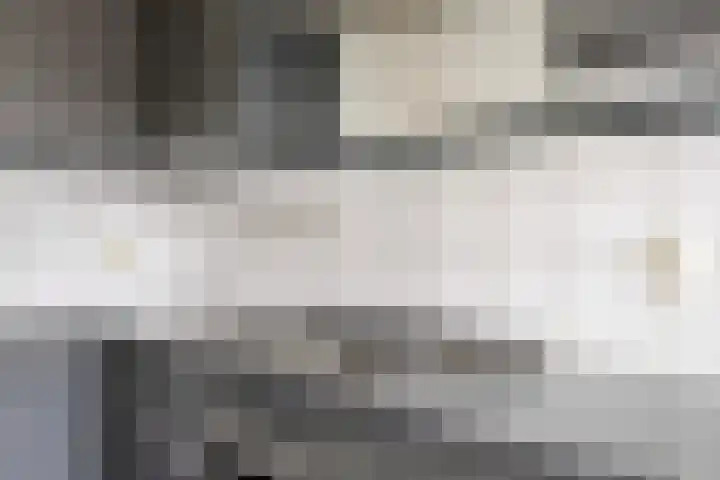 Oerraede 42 Vlodrop thumbnail 19
